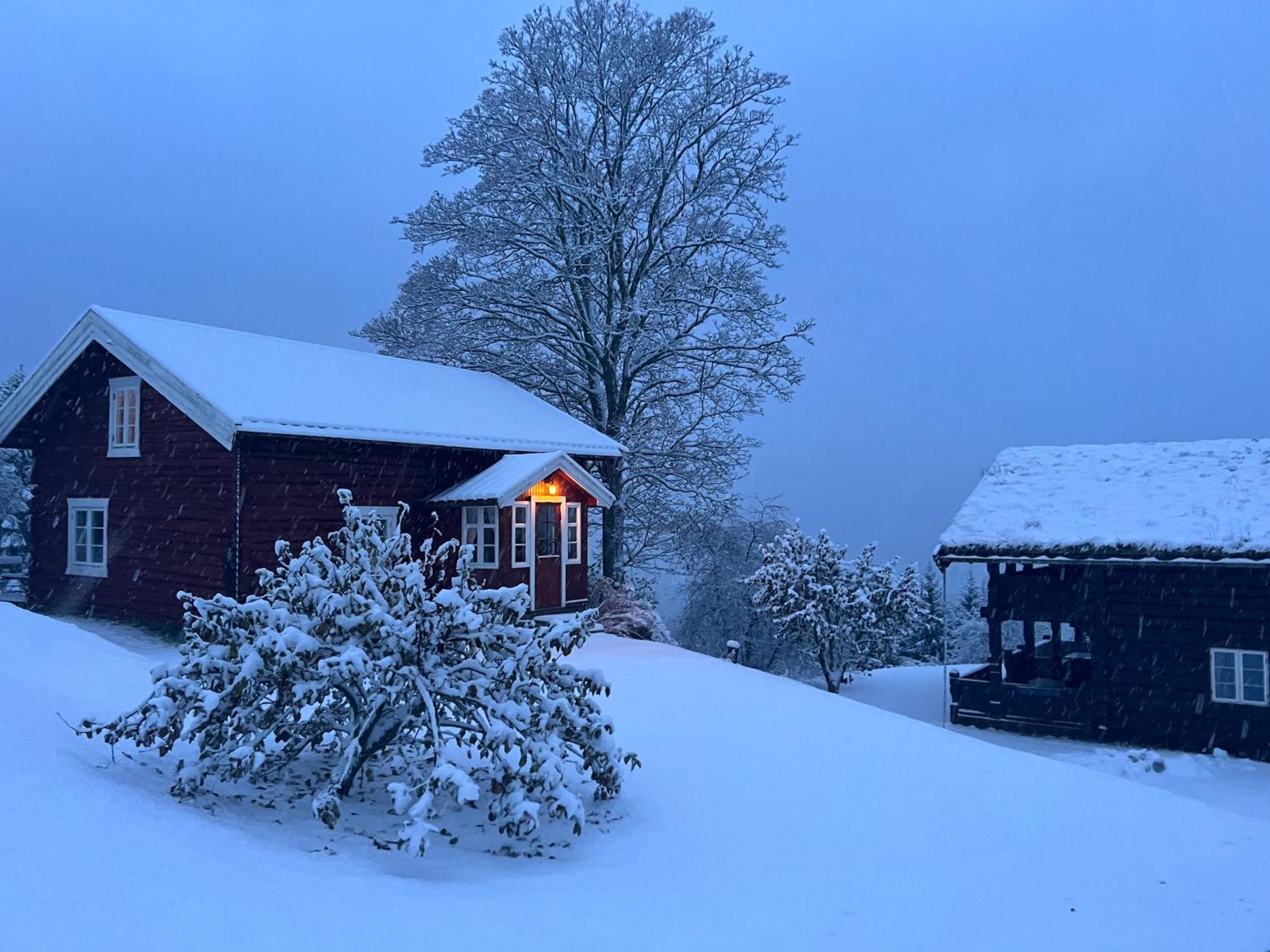 « Sofly Cottage », Le Charme Pur Noresund Exterior photo